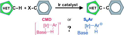 Mechanistic Analysis of Iridium(III) Catalyzed Direct C-H Arylation: A DFT Study