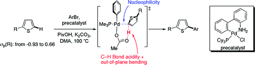 Analysis of the Palladium-Catalyzed (Aromatic)C-H Bond Metalation-Deprotonation Mechanism Spanning the Entire Spectrum of Arenes