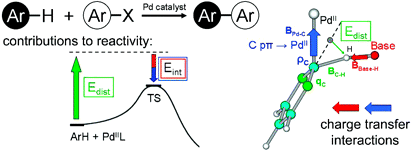 Analysis of the Concerted Metalation-Deprotonation Mechanism in Palladium-Catalyzed Direct Arylation Across a Broad Range of Aromatic Substrates