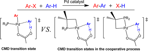 Reactivity and Regioselectivity of Palladium-Catalyzed Direct Arylation in Noncooperative and Cooperative Processes